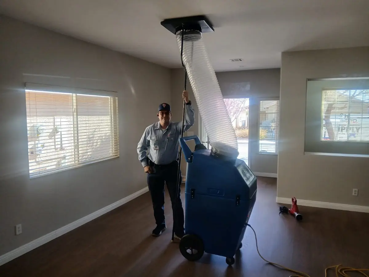 Professional Dryer Vent Cleaning work inside a Stuttgart home